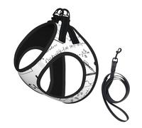 Dog Math Geometry G alculus Printed Harness And Leash Set,Adjustable,Breathable Soft,Step-In Mesh Pet Vest Harness With Reflective Strip