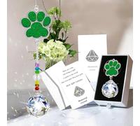 Dog Memorial Gifts for Loss of Dog Suncatcher, Pet Paw Print Sympathy Gifts Crystal Window Suncatchers,Dog Remembrance Gift Sun Catcher(Double Sided Green)