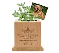 Dog Memorial Gifts Wooden Plant Pot with Mat Succulents Indoor Remembrance Sympathy Gifts for Loss Pet (Style 1)