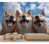 Dog Murals Three Cute Dog Mural Wallpaper Cartoon Yellow and White Dogs Sofa TV Background Wallpaper Blue Sky and White Clouds Wall Mural For Living Room Bedroom-280x200cm
