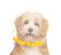 Dog Muzzle Behavior Training Secure Fit Mesh