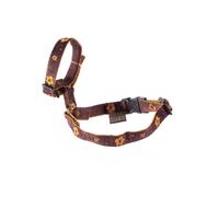 Dog muzzle Martin Sellier