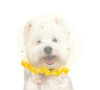 Dog Muzzle | Mesh Protection with Secure Hold, Anti-Scavenging Muzzle - for Daily Walks, Parks, Outdoor Hiking, Public Spaces, Small and Pets