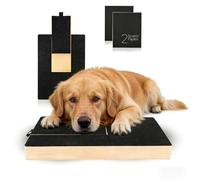Dog Nail Scratch Board with Treat Box 2 Additional Sandpapers Included Trimming for All Breeds Eco-Friendly Natural Wood Design Base