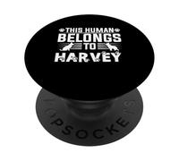 Dog Name Harvey Personalised Gift This Human Belongs To a PopSockets Adhesive PopGrip