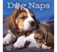 Dog Naps Calendar 2026