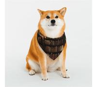 Dog Or Cat Book Room Mysterious Library Scarf, Printed Pattern Pet Scarf, Pet Triangle Scarf, Multi-Size Pet Bandana, Bib, Neck Scarf.