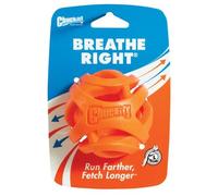 Dog Outdoor Play & Exercise - Chuckit Air Fetch Ball (XL)