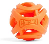Dog Outdoor Play & Exercise - Chuckit Air Fetch Ball XL