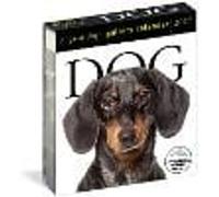 Dog Page-A-Day® Gallery Calendar 2027: An Elegant Canine Celebration