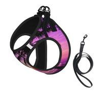 Dog Palm Trees Silhouette At Sunset Printed Harness And Leash Set,Adjustable,Breathable Soft,Step-In Mesh Pet Vest Harness With Reflective Strip