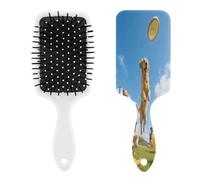 Dog Park Hairbrush Air Cushion Comb Hair Comb