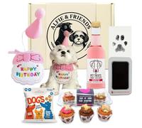 Dog Pet Birthday Treat Gift Set Hamper for Girls - Pet Set in Pink with Mini Iced Woofins, Paw Print Kit, Rose Dog Wine & Peanut Butter Protein Balls - Dogs Gifts, Birthday Presents