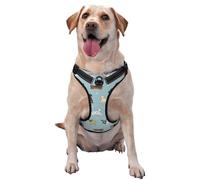 Dog Pets Pattern Dog Harness - Lightweight,Soft,Adjustable Small Harness and Leash Set, Suitable for Puppy Small and Medium-Sized Dog-Large