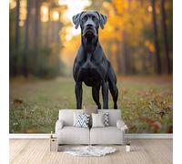 Dog Photo Wallpaper Nature Forest Animal Dog Wallpaper Mural 3D Art Print, Non-Woven Wall Paper, Decoration Poster Picture Mural 500 × 280 cm / 196.8" × 110" for Living Room Bedroom