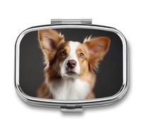 Dog Pill Box 2 Compartment, Portable Pill Case with Mirror for Pocket Purse Travel, Mini Metal Medicine Organizer for Vitamins Fish Oil