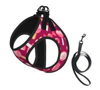Dog Pink Candy Printed Harness And Leash Set,Adjustable,Breathable Soft,Step-In Mesh Pet Vest Harness With Reflective Strip