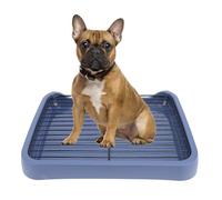 Dog Potty Tray, 46 x 35 x 5 cm PP Plastic Puppy Training Pad with Removable Mesh for Small Medium Dogs Indoor Outdoor Use