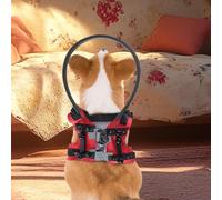 Dog Protective Ring - Visually Impaired Halo Bumper, Blind Pet Safety Collar, Adjustable Vision Loss Aid | Outdoor Walking Confidence Building Collision Prevention Mobility Support Device