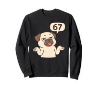 Dog Pug 67 Meme Six Seven Funny Gen Alpha Sweatshirt