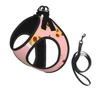 Dog Pug Pizza Pink Printed Harness And Leash Set,Adjustable,Breathable Soft,Step-In Mesh Pet Vest Harness With Reflective Strip