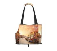Dog Purse Carrier, Beautiful Venice Canal View Print Dog Carrier with Pockets for Dog 0-11lbs Tote Bag Carrier with Pocket