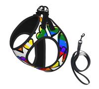Dog Rainbow Colored Gay Pride Hearts Printed Harness And Leash Set,Adjustable,Breathable Soft,Step-In Mesh Pet Vest Harness With Reflective Strip