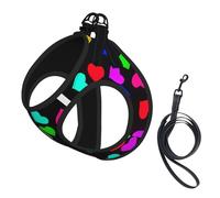 Dog Rainbow Hearts Printed Harness And Leash Set,Adjustable,Breathable Soft,Step-In Mesh Pet Vest Harness With Reflective Strip