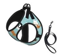 Dog Raining Cats & Dogs Printed Harness And Leash Set,Adjustable,Breathable Soft,Step-In Mesh Pet Vest Harness With Reflective Strip