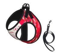 Dog Red Hearts Love Printed Harness And Leash Set,Adjustable,Breathable Soft,Step-In Mesh Pet Vest Harness With Reflective Strip