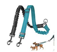 Dog Rope - 360 Degree Rotating and Shock Absorbing | Double Lead | For Medium and Large Dog Breeds for Walking Training as well as Activities in the Park Garden Yard In