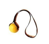 Dog Rope - Comes With A Chewable Ball, Interactive Tug-of-War Training Pet Item(Large)