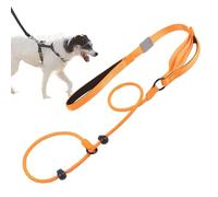 Dog Rope - Reminder Training Rope | 5.6 Feet Heavy Duty Easy Control with Soft Padded Handle for Large and Medium Dogs Training Hunting Camping