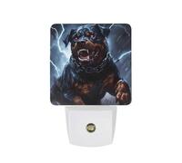 Dog Rottweiler with Thunder Funny Night Light Plug in Wall Auto Sensor LED Nightlight for Hallway Bedroom Kitchen Stair