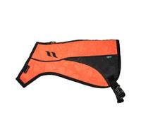 Dog safety vest Back on Track Point