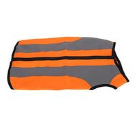 Dog Safety Vest, Dog Vest Reflective Dog Vest High Visibility Safety Vest for Small Medium Large Dogs Pet Night Safety Clothing Glowing Jacket for Walking, Jogging or Training (XL)