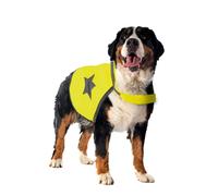 Dog safety vest Duvoplus