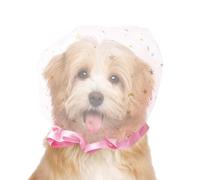 Dog Scavenging Muzzle Behavior Training Secure Fit Mesh