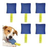 Dog Scent Training Kit Sniffing Equipment | 6 Pieces Dog Training Kit for Indoor Outdoor House Park Brain Mental Agility