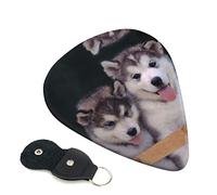 Dog Set Of 6 Guitar Plectrums For Acoustic Guitar, Electric Guitar, Bass, Ukulele - Thin, Medium And Thick.