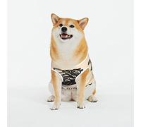 Dog Shirts Let The Adventure Begin Printed Dog Clothes Soft Cotton Pet T Shirt Breathable Puppy Sweatshirt Apparel Outfit for Pet Dog (4X-Large)