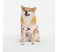 Dog Shirts Panda Flying in The Sky Between Clouds and Star Printed Dog Clothes Soft Cotton Pet T Shirt Breathable Puppy Sweatshirt Apparel Outfit for Pet Dog (Xx-Large)