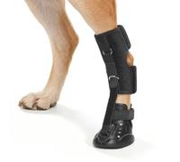 Dog Shoes for Hot Pavement, Breathable Dog Boots & Paw Protectors with Strap Adjustable No Knuckling Drop Foot Brace, Non-Slip Waterproof Dog Sandals for Walking Support,Patent Pending（XL