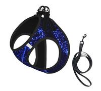 Dog Shooting Star Heart Printed Harness And Leash Set,Adjustable,Breathable Soft,Step-In Mesh Pet Vest Harness With Reflective Strip