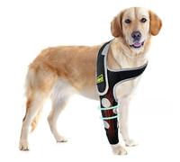 Dog Shoulder & Elbow Brace - Anti-Licking Sleeve for Shoulder Dislocation, Elbow Injuries, Postoperative Recovery - Reflective, Breathable Dog Front Leg Brace Support, Cone Alternative - Right Leg, L