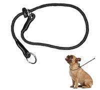 Dog Slip Collar for Dogs, Slip Lead for Dogs, Dog Training Leads