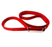 Dog Slip Lead Training Walking Leash 60" Long Obedience Slip On Dog Lead Soft Comfortable Air Webbing In (Red, 20mm)