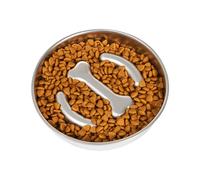 Dog Slow Feeder, Stainless Steel Slow Eating Bowl for Dogs, Non-Slip Base Healthy Eating Basin for Outdoor Indoor Balcony Bedroom Living Room