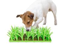 Dog Snuffle Mat - Grass Sniffe Pad, Silicone Training | Portable Feeding Enrichment for Dog Cats, No Slip Washable Toy