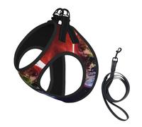 Dog Space Planet Earth Printed Harness And Leash Set,Adjustable,Breathable Soft,Step-In Mesh Pet Vest Harness With Reflective Strip